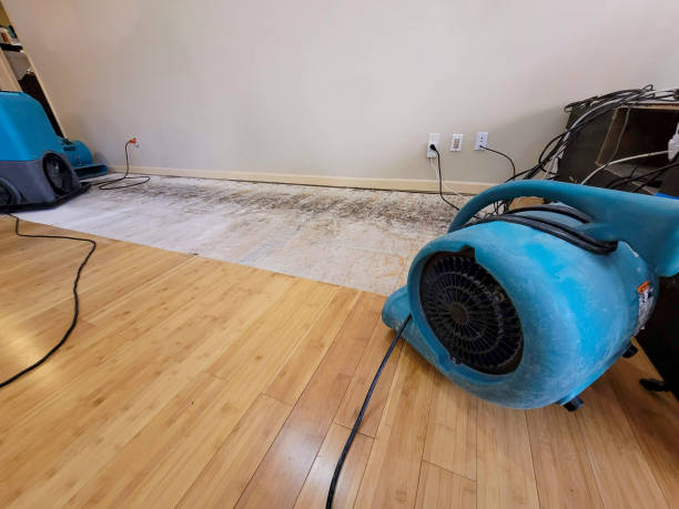 Professional Basement Flood Cleanup technician working in Etta, MS